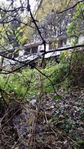 1535628_10152121767127978_446466965_n