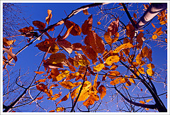 2113168379_9ea2247370_m