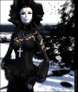 7403247852_6255cb9467