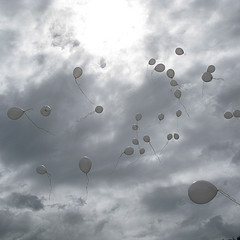 2599221224_df23384bfb_m