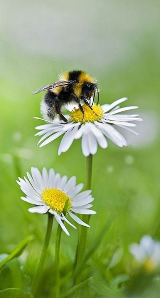 fe519e40cb0073ff93ae9e54e08e0686