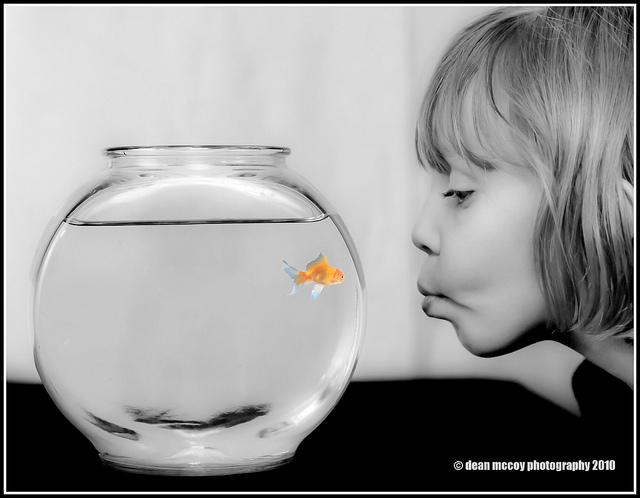 5103908380_8176a4f137_z