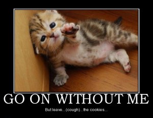 go-on-without-me-kitten-humor-demotivational-posters-1325286199-e1328375882666